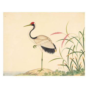 Red-crowned Crane Wall Print