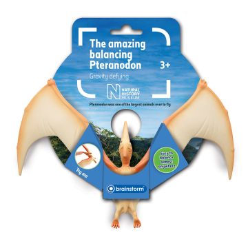 Balancing Pteranodon in its packaging