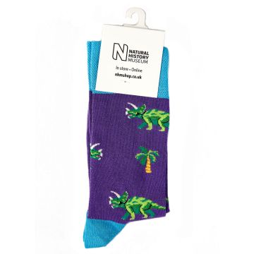 One pair of purple and blue socks with green Triceratops and palm trees on.