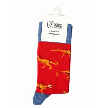 One pair of red and blue socks with orange T. rexes on.