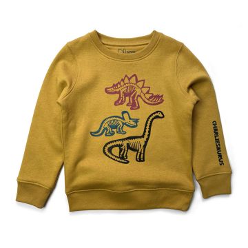 Ochre Dinosaurs Custom Sweater for Kids