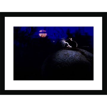 The Mouse, the Moon and the Mosquito Wall Print