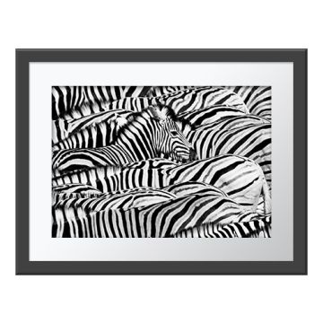 Life in Black and White Wall Print