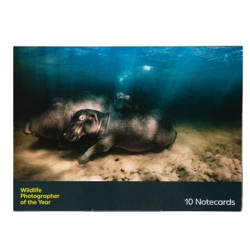 Favourites Notecard Set: Wildlife Photographer of the Year 59 front cover