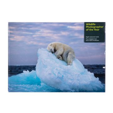 Ice-bed Christmas Card Pack: Wildlife Photographer of the Year 59 front cover