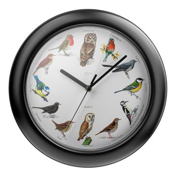 Birdsong Wall Clock framed in black, showing the 12 different illustrated birds, one representing each number.
