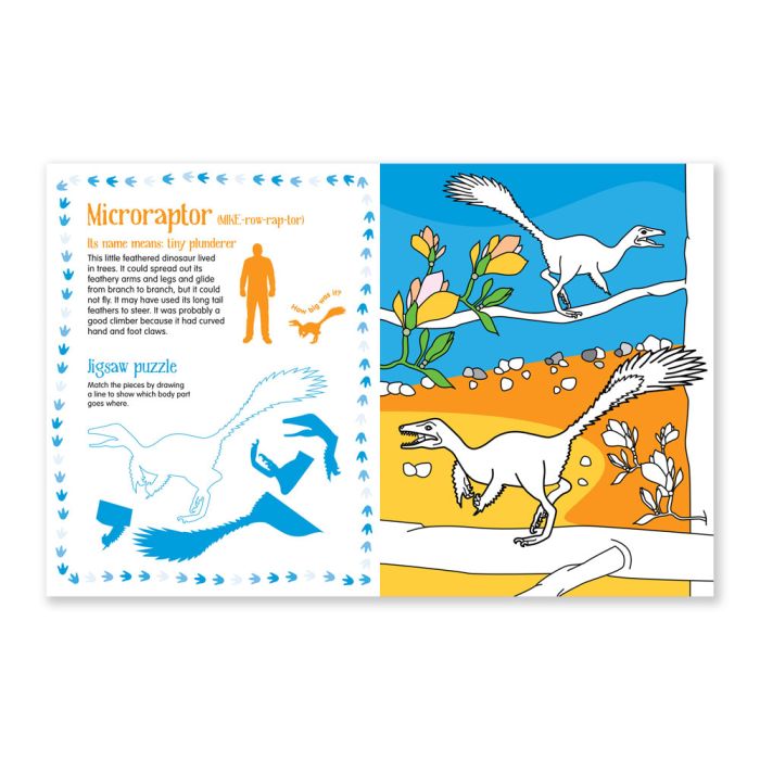 Dinosaur Colouring Book