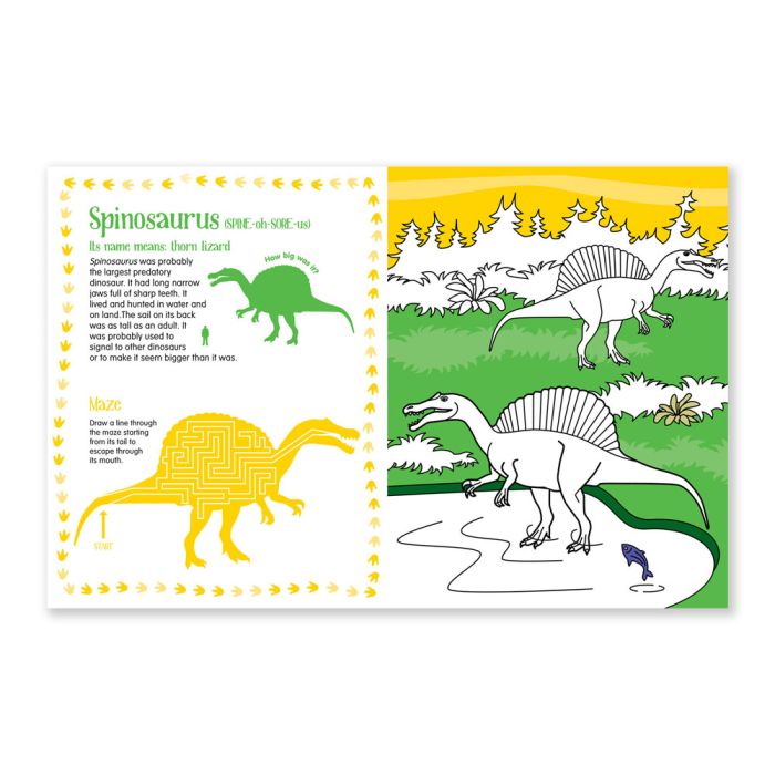Dinosaur Colouring Book