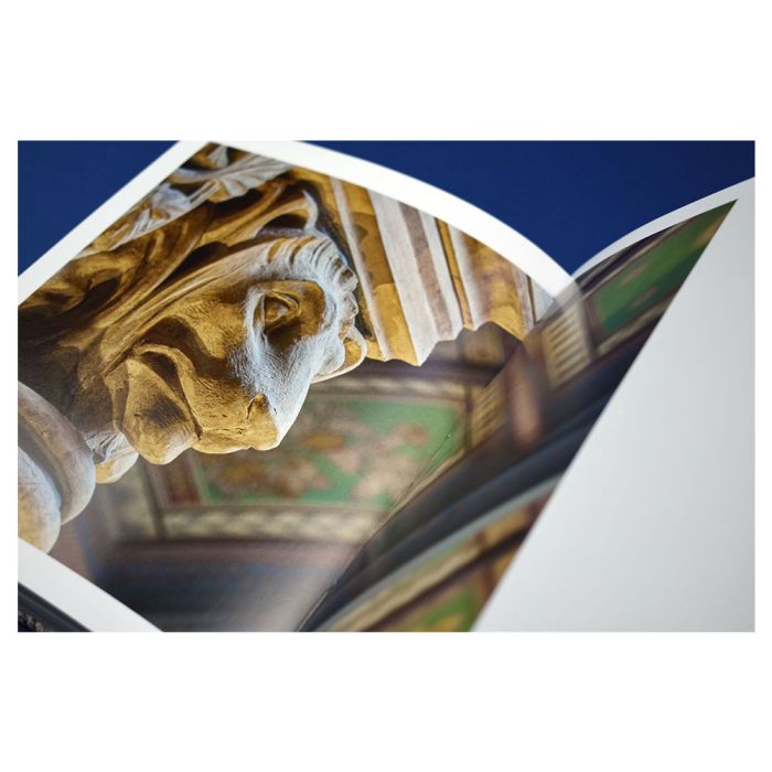 Some inside pages of the book. The image is a close up of a lion's face sculptured in terracotta at the top of a column.