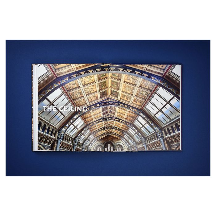 Inside pages of the book, entitled 'The ceiling'. It shows the vaulted ceiling of Hintze Hall, which is decorated with square botanical drawings and windows between supporting iron arches.