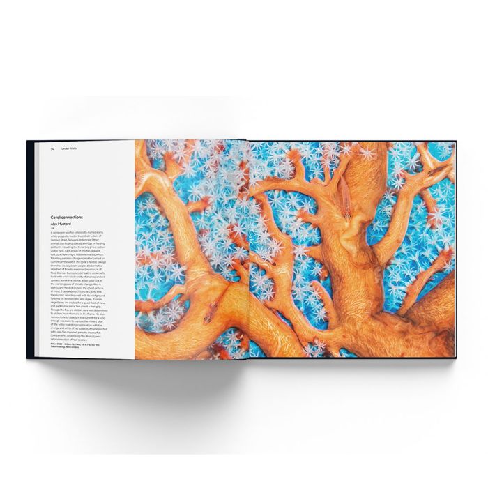 Wildlife Photographer of the Year Portfolio 33 inside pages