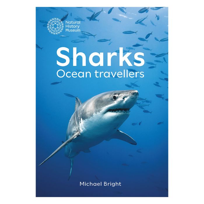 Sharks: Ocean Travellers main product photo
