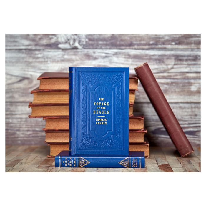 The book is styled standing upright on another copy of the book, which is lying flat so you can only see its spine. Behind them is a stack of unnamed brown, antique-looking prop-books.