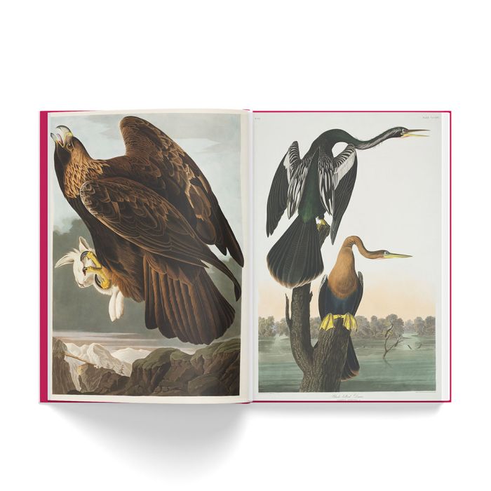 The Birds of America
