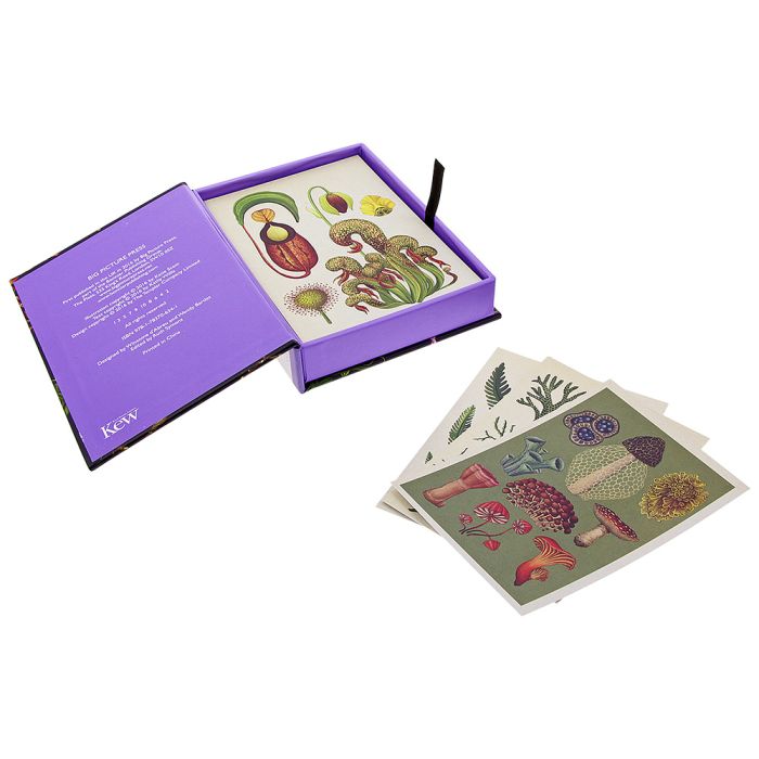 Botanicum Postcards box open with illustrations showing
