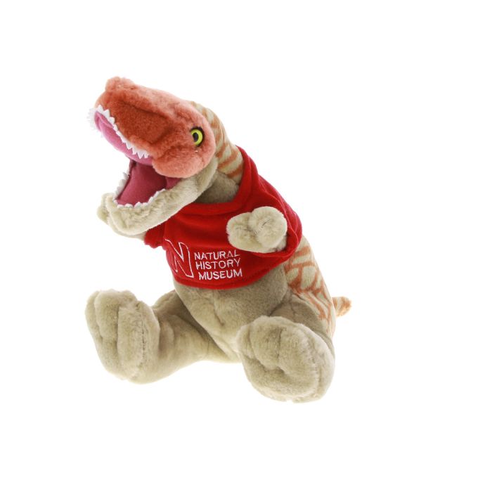 T. rex Soft Toy in Museum T-shirt