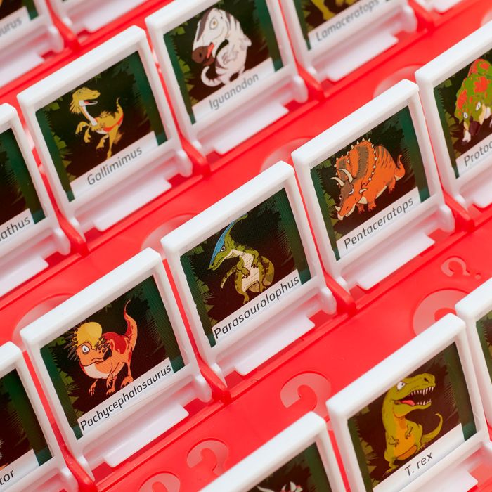 A close up of the dinosaur illustrations on one of the boards (with the red tray).