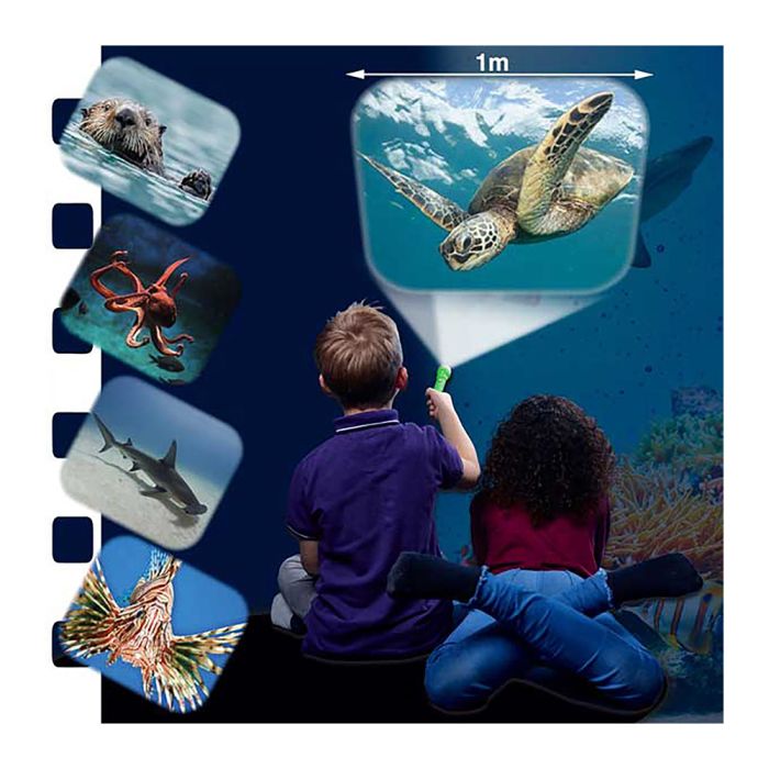 Sea Creatures Torch and Projector with children projecting the turtle image