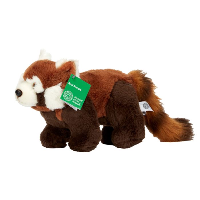 Red Panda Soft Toy Natural History Museum online shop