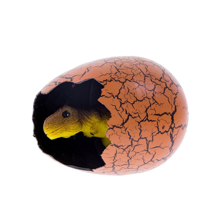 Hatching dinosaur egg toy clearance