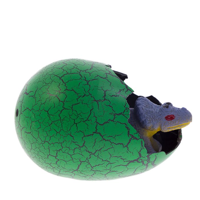 The head of the Triceratops is shown, while still in the egg.