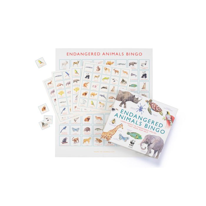 Endangered Animal Bingo board game 