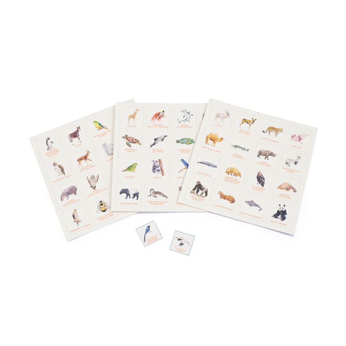 Endangered Animal Bingo board game sheets