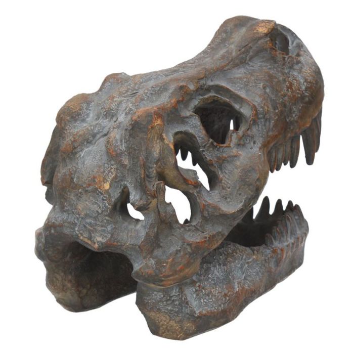 Rear view of the T. rex Small Replica Skull showing the back of the head an right eye socket.