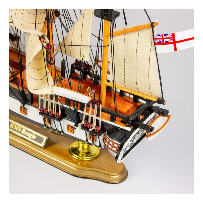 帆船模型H.M.S.BEAGLE HMS Beagle Model | Natural History Museum