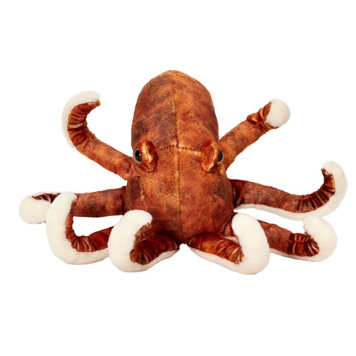 Front on view of the Octopus Soft Toy showing its eight limbs.