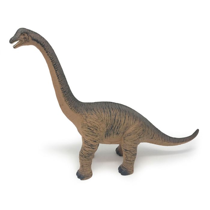 The Brachiosaurus stands facing left. Its topside is dark blue and its underside is light brown.
