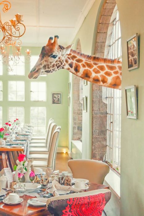 Breakfast Time Wall Print main product photo