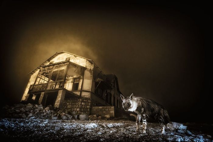 Ghost Town Visitor Wall Print main product photo
