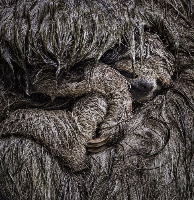 Hold Me Tightly Wall Print main product photo