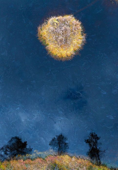Taiga Moon Wall Print main product photo