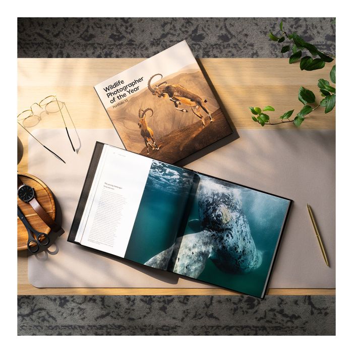 Stylised photograph of Wildlife Photographer of the Year Portfolio 33 opened on a desk with accessories