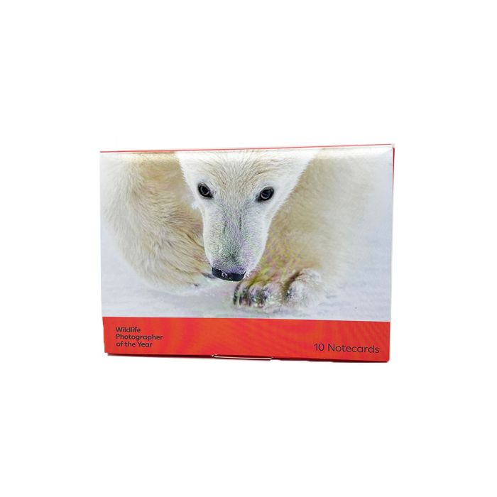 Favourites Notecard Set: Wildlife Photographer of the Year 61 main product photo