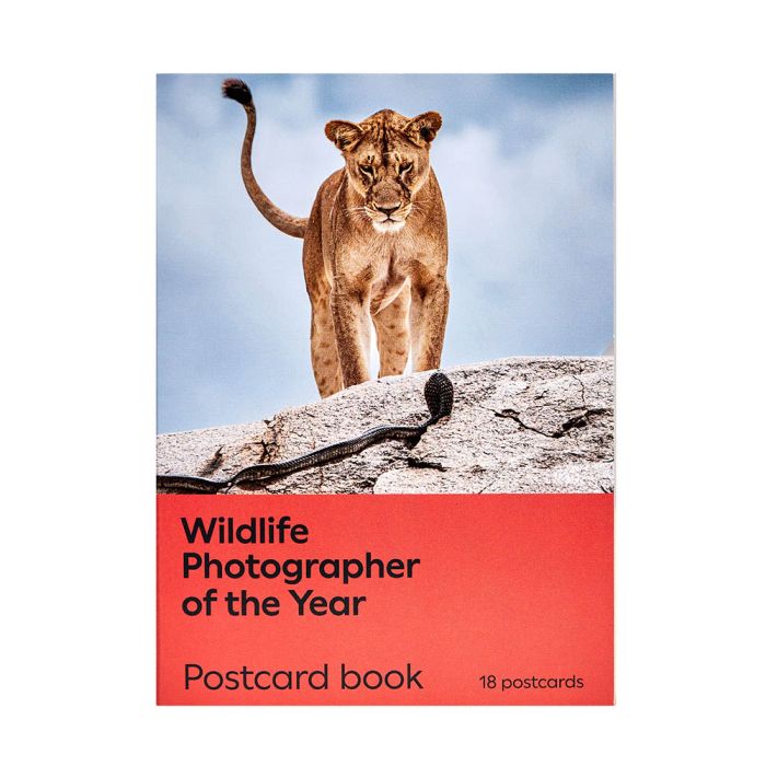 Postcard Book Wildlife Photographer of the Year 61 main product photo