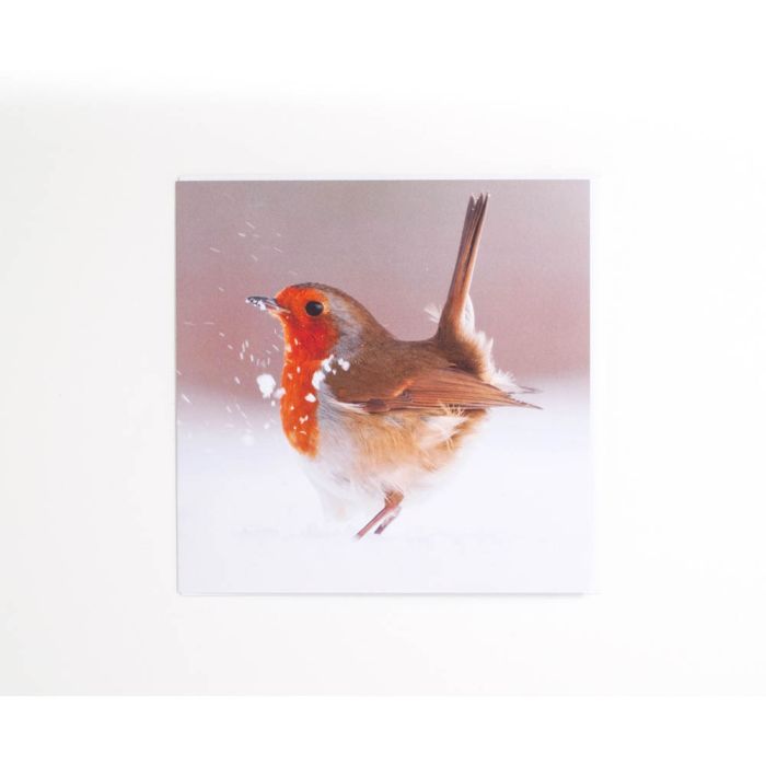 Territorial Strut Christmas Card Pack: Wildlife Photographer of the Year main product photo