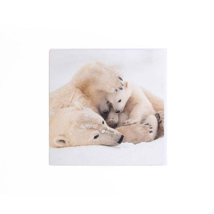 Warm Embrace Christmas Card Pack: Wildlife Photographer of the Year main product photo