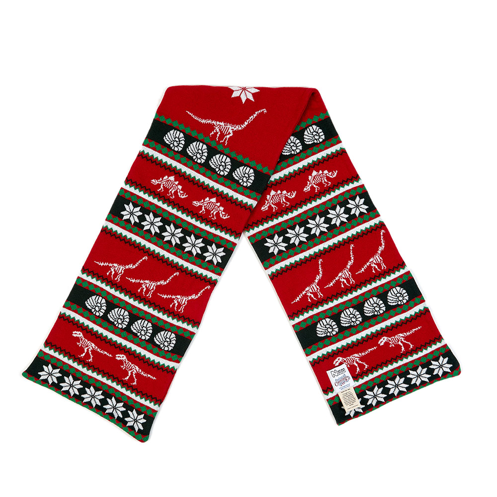 Dinosaur Skeletons Scarf for Kids