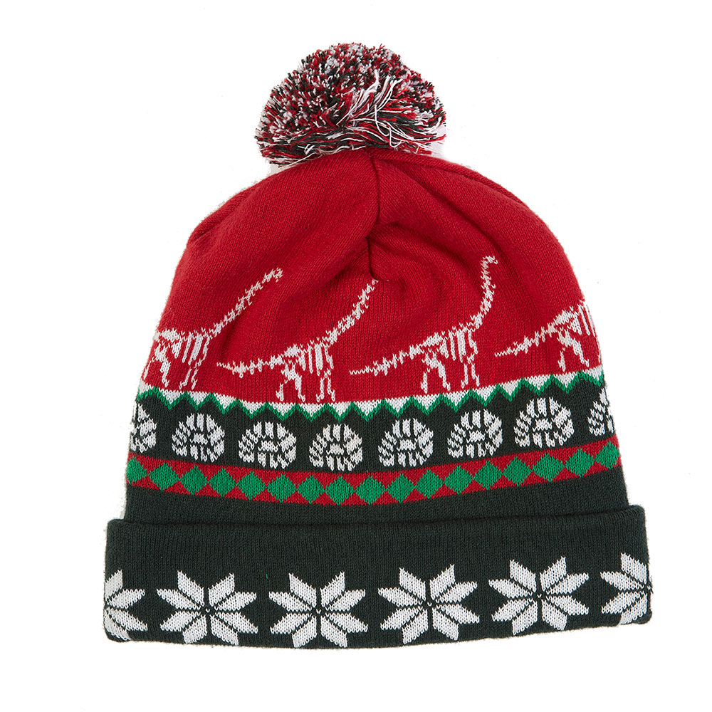 Dinosaur Skeletons Bobble Hat for Kids