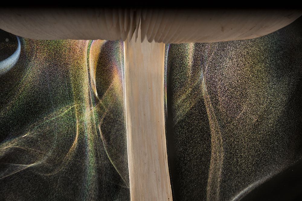 Mushroom Magic Wall Print