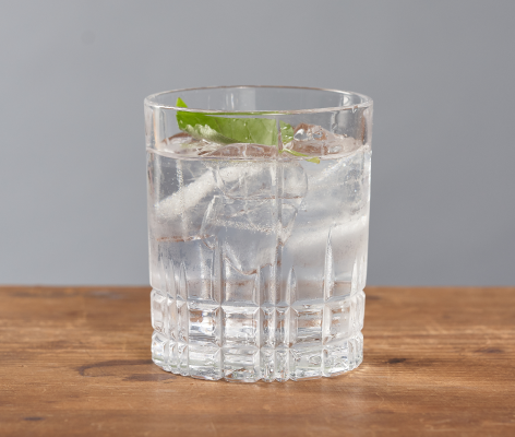 Discovery Gin G&T