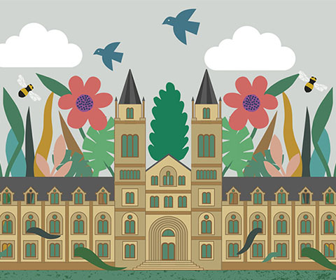 A colourful illustration of the Museum’s Waterhouse building with red flowers and green leaves growing on the roof. There are birds, bees and clouds in the sky.
