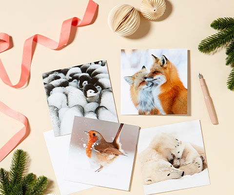 Four different cards of animals in snow are styled with fir branches and decorations.