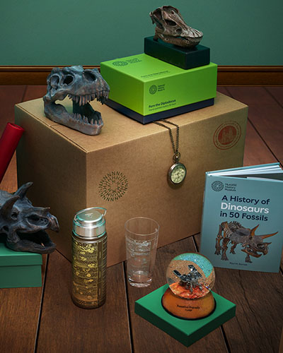 Dinosaur-themed and space-themed gifts are displayed on a box.
