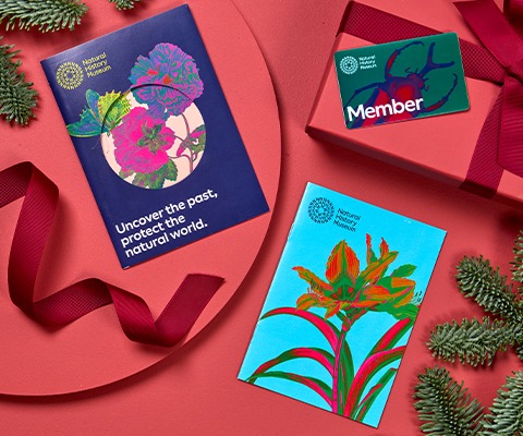 The Museum membership card and marketing information feature wildlife illustrations.