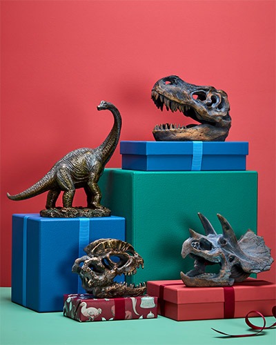 Replica dinosaur skulls and a model displayed on gift boxes.