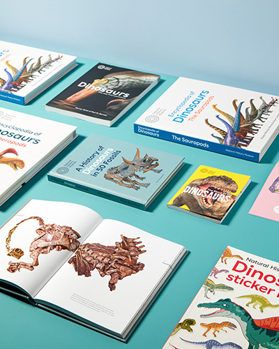 The front covers and inside pages of dinosaur-themed books are laid out in a grid.